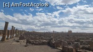 [P06] Situl roman Timgad » foto by robert
 - 
<span class="allrVoted glyphicon glyphicon-heart hidden" id="av1384571"></span>
<a class="m-l-10 hidden" id="sv1384571" onclick="voting_Foto_DelVot(,1384571,5207)" role="button">șterge vot <span class="glyphicon glyphicon-remove"></span></a>
<a id="v91384571" class=" c-red"  onclick="voting_Foto_SetVot(1384571)" role="button"><span class="glyphicon glyphicon-heart-empty"></span> <b>LIKE</b> = Votează poza</a> <img class="hidden"  id="f1384571W9" src="/imagini/loader.gif" border="0" /><span class="AjErrMes hidden" id="e1384571ErM"></span>