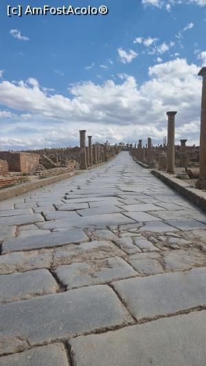 [P07] Situl roman Timgad » foto by robert
 - 
<span class="allrVoted glyphicon glyphicon-heart hidden" id="av1384572"></span>
<a class="m-l-10 hidden" id="sv1384572" onclick="voting_Foto_DelVot(,1384572,5207)" role="button">șterge vot <span class="glyphicon glyphicon-remove"></span></a>
<a id="v91384572" class=" c-red"  onclick="voting_Foto_SetVot(1384572)" role="button"><span class="glyphicon glyphicon-heart-empty"></span> <b>LIKE</b> = Votează poza</a> <img class="hidden"  id="f1384572W9" src="/imagini/loader.gif" border="0" /><span class="AjErrMes hidden" id="e1384572ErM"></span>