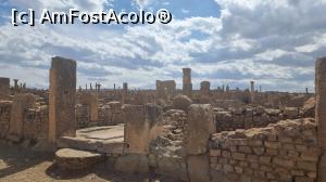 [P08] Situl roman Timgad » foto by robert
 - 
<span class="allrVoted glyphicon glyphicon-heart hidden" id="av1384573"></span>
<a class="m-l-10 hidden" id="sv1384573" onclick="voting_Foto_DelVot(,1384573,5207)" role="button">șterge vot <span class="glyphicon glyphicon-remove"></span></a>
<a id="v91384573" class=" c-red"  onclick="voting_Foto_SetVot(1384573)" role="button"><span class="glyphicon glyphicon-heart-empty"></span> <b>LIKE</b> = Votează poza</a> <img class="hidden"  id="f1384573W9" src="/imagini/loader.gif" border="0" /><span class="AjErrMes hidden" id="e1384573ErM"></span>