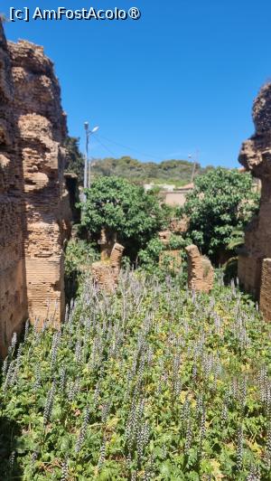 [P10] situl roman Tipaza » foto by robert
 - 
<span class="allrVoted glyphicon glyphicon-heart hidden" id="av1392391"></span>
<a class="m-l-10 hidden" id="sv1392391" onclick="voting_Foto_DelVot(,1392391,5207)" role="button">șterge vot <span class="glyphicon glyphicon-remove"></span></a>
<a id="v91392391" class=" c-red"  onclick="voting_Foto_SetVot(1392391)" role="button"><span class="glyphicon glyphicon-heart-empty"></span> <b>LIKE</b> = Votează poza</a> <img class="hidden"  id="f1392391W9" src="/imagini/loader.gif" border="0" /><span class="AjErrMes hidden" id="e1392391ErM"></span>