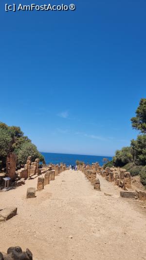 [P14] situl roman Tipaza » foto by robert
 - 
<span class="allrVoted glyphicon glyphicon-heart hidden" id="av1392395"></span>
<a class="m-l-10 hidden" id="sv1392395" onclick="voting_Foto_DelVot(,1392395,5207)" role="button">șterge vot <span class="glyphicon glyphicon-remove"></span></a>
<a id="v91392395" class=" c-red"  onclick="voting_Foto_SetVot(1392395)" role="button"><span class="glyphicon glyphicon-heart-empty"></span> <b>LIKE</b> = Votează poza</a> <img class="hidden"  id="f1392395W9" src="/imagini/loader.gif" border="0" /><span class="AjErrMes hidden" id="e1392395ErM"></span>