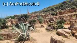 [P18] situl roman Tipaza » foto by robert
 - 
<span class="allrVoted glyphicon glyphicon-heart hidden" id="av1392399"></span>
<a class="m-l-10 hidden" id="sv1392399" onclick="voting_Foto_DelVot(,1392399,5207)" role="button">șterge vot <span class="glyphicon glyphicon-remove"></span></a>
<a id="v91392399" class=" c-red"  onclick="voting_Foto_SetVot(1392399)" role="button"><span class="glyphicon glyphicon-heart-empty"></span> <b>LIKE</b> = Votează poza</a> <img class="hidden"  id="f1392399W9" src="/imagini/loader.gif" border="0" /><span class="AjErrMes hidden" id="e1392399ErM"></span>