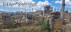 [P41] situl roman Djemila » foto by robert
 - 
<span class="allrVoted glyphicon glyphicon-heart hidden" id="av1392422"></span>
<a class="m-l-10 hidden" id="sv1392422" onclick="voting_Foto_DelVot(,1392422,5207)" role="button">șterge vot <span class="glyphicon glyphicon-remove"></span></a>
<a id="v91392422" class=" c-red"  onclick="voting_Foto_SetVot(1392422)" role="button"><span class="glyphicon glyphicon-heart-empty"></span> <b>LIKE</b> = Votează poza</a> <img class="hidden"  id="f1392422W9" src="/imagini/loader.gif" border="0" /><span class="AjErrMes hidden" id="e1392422ErM"></span>