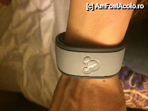 [P01] Magic Band, de care aminteam » foto by pisoi_aluna
 - 
<span class="allrVoted glyphicon glyphicon-heart hidden" id="av508253"></span>
<a class="m-l-10 hidden" id="sv508253" onclick="voting_Foto_DelVot(,508253,5211)" role="button">șterge vot <span class="glyphicon glyphicon-remove"></span></a>
<a id="v9508253" class=" c-red"  onclick="voting_Foto_SetVot(508253)" role="button"><span class="glyphicon glyphicon-heart-empty"></span> <b>LIKE</b> = Votează poza</a> <img class="hidden"  id="f508253W9" src="/imagini/loader.gif" border="0" /><span class="AjErrMes hidden" id="e508253ErM"></span>