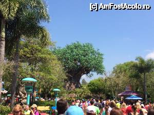 [P12] Animal Kingdom » foto by pisoi_aluna
 - 
<span class="allrVoted glyphicon glyphicon-heart hidden" id="av508320"></span>
<a class="m-l-10 hidden" id="sv508320" onclick="voting_Foto_DelVot(,508320,5211)" role="button">șterge vot <span class="glyphicon glyphicon-remove"></span></a>
<a id="v9508320" class=" c-red"  onclick="voting_Foto_SetVot(508320)" role="button"><span class="glyphicon glyphicon-heart-empty"></span> <b>LIKE</b> = Votează poza</a> <img class="hidden"  id="f508320W9" src="/imagini/loader.gif" border="0" /><span class="AjErrMes hidden" id="e508320ErM"></span>