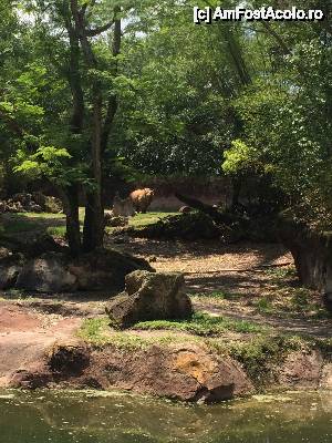 [P13] Safari-rinocer » foto by pisoi_aluna
 - 
<span class="allrVoted glyphicon glyphicon-heart hidden" id="av508321"></span>
<a class="m-l-10 hidden" id="sv508321" onclick="voting_Foto_DelVot(,508321,5211)" role="button">șterge vot <span class="glyphicon glyphicon-remove"></span></a>
<a id="v9508321" class=" c-red"  onclick="voting_Foto_SetVot(508321)" role="button"><span class="glyphicon glyphicon-heart-empty"></span> <b>LIKE</b> = Votează poza</a> <img class="hidden"  id="f508321W9" src="/imagini/loader.gif" border="0" /><span class="AjErrMes hidden" id="e508321ErM"></span>
