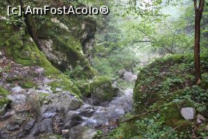 [P10] Prin Cheile Ponicovei spre Peștera Ponicova, la ceas de seară » foto by mprofeanu
 - 
<span class="allrVoted glyphicon glyphicon-heart hidden" id="av1185480"></span>
<a class="m-l-10 hidden" id="sv1185480" onclick="voting_Foto_DelVot(,1185480,5212)" role="button">șterge vot <span class="glyphicon glyphicon-remove"></span></a>
<a id="v91185480" class=" c-red"  onclick="voting_Foto_SetVot(1185480)" role="button"><span class="glyphicon glyphicon-heart-empty"></span> <b>LIKE</b> = Votează poza</a> <img class="hidden"  id="f1185480W9" src="/imagini/loader.gif" border="0" /><span class="AjErrMes hidden" id="e1185480ErM"></span>