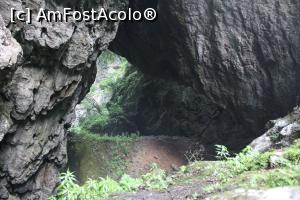 [P15] Prin Cheile Ponicovei spre Peștera Ponicova » foto by mprofeanu
 - 
<span class="allrVoted glyphicon glyphicon-heart hidden" id="av1185485"></span>
<a class="m-l-10 hidden" id="sv1185485" onclick="voting_Foto_DelVot(,1185485,5212)" role="button">șterge vot <span class="glyphicon glyphicon-remove"></span></a>
<a id="v91185485" class=" c-red"  onclick="voting_Foto_SetVot(1185485)" role="button"><span class="glyphicon glyphicon-heart-empty"></span> <b>LIKE</b> = Votează poza</a> <img class="hidden"  id="f1185485W9" src="/imagini/loader.gif" border="0" /><span class="AjErrMes hidden" id="e1185485ErM"></span>