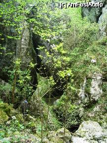 [P11] Defileul spre pestera - peretii sunt din ce in ce mai inalti, in unele zone unindu-se deasupra noastra ca niste poduri naturale. De fapt suntem pe funful unei foste pesteri, prabusita acum. » foto by cc_iordachescu
 - 
<span class="allrVoted glyphicon glyphicon-heart hidden" id="av58120"></span>
<a class="m-l-10 hidden" id="sv58120" onclick="voting_Foto_DelVot(,58120,5212)" role="button">șterge vot <span class="glyphicon glyphicon-remove"></span></a>
<a id="v958120" class=" c-red"  onclick="voting_Foto_SetVot(58120)" role="button"><span class="glyphicon glyphicon-heart-empty"></span> <b>LIKE</b> = Votează poza</a> <img class="hidden"  id="f58120W9" src="/imagini/loader.gif" border="0" /><span class="AjErrMes hidden" id="e58120ErM"></span>