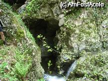 [P19] in zona 'saritorilor' se trece de fapt brusc de la defileu-chei la un canion partial acoperit de stanci. Zona trebuie strabatuta cu atentie, in nici un caz iarna pe gheata. » foto by cc_iordachescu
 - 
<span class="allrVoted glyphicon glyphicon-heart hidden" id="av58141"></span>
<a class="m-l-10 hidden" id="sv58141" onclick="voting_Foto_DelVot(,58141,5212)" role="button">șterge vot <span class="glyphicon glyphicon-remove"></span></a>
<a id="v958141" class=" c-red"  onclick="voting_Foto_SetVot(58141)" role="button"><span class="glyphicon glyphicon-heart-empty"></span> <b>LIKE</b> = Votează poza</a> <img class="hidden"  id="f58141W9" src="/imagini/loader.gif" border="0" /><span class="AjErrMes hidden" id="e58141ErM"></span>