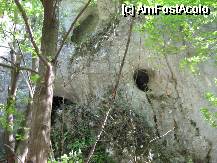 [P26] Gura Ponicovei - peretii sunt ciuruiti de o multitudine de grote, nu toate sunt circulabile, dar sunt locuri ideale pentru coloniile de lilieci. » foto by cc_iordachescu
 - 
<span class="allrVoted glyphicon glyphicon-heart hidden" id="av58156"></span>
<a class="m-l-10 hidden" id="sv58156" onclick="voting_Foto_DelVot(,58156,5212)" role="button">șterge vot <span class="glyphicon glyphicon-remove"></span></a>
<a id="v958156" class=" c-red"  onclick="voting_Foto_SetVot(58156)" role="button"><span class="glyphicon glyphicon-heart-empty"></span> <b>LIKE</b> = Votează poza</a> <img class="hidden"  id="f58156W9" src="/imagini/loader.gif" border="0" /><span class="AjErrMes hidden" id="e58156ErM"></span>
