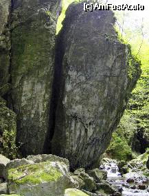 [P28] Stanci de 10 - 16 m despartite de diaclaze profunde(fisuri in calcar). » foto by cc_iordachescu
 - 
<span class="allrVoted glyphicon glyphicon-heart hidden" id="av58158"></span>
<a class="m-l-10 hidden" id="sv58158" onclick="voting_Foto_DelVot(,58158,5212)" role="button">șterge vot <span class="glyphicon glyphicon-remove"></span></a>
<a id="v958158" class=" c-red"  onclick="voting_Foto_SetVot(58158)" role="button"><span class="glyphicon glyphicon-heart-empty"></span> <b>LIKE</b> = Votează poza</a> <img class="hidden"  id="f58158W9" src="/imagini/loader.gif" border="0" /><span class="AjErrMes hidden" id="e58158ErM"></span>