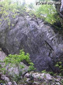 [P32] Pereti de 70 - 80 m in fata gurii pesterii.In dreptul pomilor din dreapta sus este punctul de belvedere din sosea catre gura pesterii. » foto by cc_iordachescu
 - 
<span class="allrVoted glyphicon glyphicon-heart hidden" id="av58163"></span>
<a class="m-l-10 hidden" id="sv58163" onclick="voting_Foto_DelVot(,58163,5212)" role="button">șterge vot <span class="glyphicon glyphicon-remove"></span></a>
<a id="v958163" class=" c-red"  onclick="voting_Foto_SetVot(58163)" role="button"><span class="glyphicon glyphicon-heart-empty"></span> <b>LIKE</b> = Votează poza</a> <img class="hidden"  id="f58163W9" src="/imagini/loader.gif" border="0" /><span class="AjErrMes hidden" id="e58163ErM"></span>