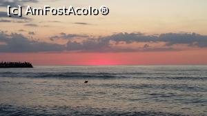 [P03] rasarit de soare la Neptun » foto by raducondurache
 - 
<span class="allrVoted glyphicon glyphicon-heart hidden" id="av1183428"></span>
<a class="m-l-10 hidden" id="sv1183428" onclick="voting_Foto_DelVot(,1183428,5218)" role="button">șterge vot <span class="glyphicon glyphicon-remove"></span></a>
<a id="v91183428" class=" c-red"  onclick="voting_Foto_SetVot(1183428)" role="button"><span class="glyphicon glyphicon-heart-empty"></span> <b>LIKE</b> = Votează poza</a> <img class="hidden"  id="f1183428W9" src="/imagini/loader.gif" border="0" /><span class="AjErrMes hidden" id="e1183428ErM"></span>