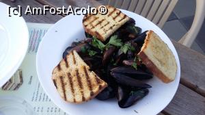 [P05] scoici in sos de vin J, 30 lei portia de 500 g » foto by raducondurache
 - 
<span class="allrVoted glyphicon glyphicon-heart hidden" id="av1183430"></span>
<a class="m-l-10 hidden" id="sv1183430" onclick="voting_Foto_DelVot(,1183430,5218)" role="button">șterge vot <span class="glyphicon glyphicon-remove"></span></a>
<a id="v91183430" class=" c-red"  onclick="voting_Foto_SetVot(1183430)" role="button"><span class="glyphicon glyphicon-heart-empty"></span> <b>LIKE</b> = Votează poza</a> <img class="hidden"  id="f1183430W9" src="/imagini/loader.gif" border="0" /><span class="AjErrMes hidden" id="e1183430ErM"></span>