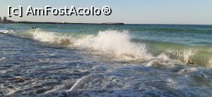 [P14] Pe plajă la înserat » foto by Rofri
 - 
<span class="allrVoted glyphicon glyphicon-heart hidden" id="av1243254"></span>
<a class="m-l-10 hidden" id="sv1243254" onclick="voting_Foto_DelVot(,1243254,5218)" role="button">șterge vot <span class="glyphicon glyphicon-remove"></span></a>
<a id="v91243254" class=" c-red"  onclick="voting_Foto_SetVot(1243254)" role="button"><span class="glyphicon glyphicon-heart-empty"></span> <b>LIKE</b> = Votează poza</a> <img class="hidden"  id="f1243254W9" src="/imagini/loader.gif" border="0" /><span class="AjErrMes hidden" id="e1243254ErM"></span>