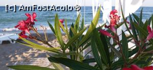 [P27] Un colț frumos de plajă » foto by Rofri
 - 
<span class="allrVoted glyphicon glyphicon-heart hidden" id="av1243267"></span>
<a class="m-l-10 hidden" id="sv1243267" onclick="voting_Foto_DelVot(,1243267,5218)" role="button">șterge vot <span class="glyphicon glyphicon-remove"></span></a>
<a id="v91243267" class=" c-red"  onclick="voting_Foto_SetVot(1243267)" role="button"><span class="glyphicon glyphicon-heart-empty"></span> <b>LIKE</b> = Votează poza</a> <img class="hidden"  id="f1243267W9" src="/imagini/loader.gif" border="0" /><span class="AjErrMes hidden" id="e1243267ErM"></span>