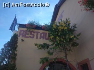 [P17] Paralela 45, Florești Prahova » foto by Mioritik
 - 
<span class="allrVoted glyphicon glyphicon-heart hidden" id="av1347552"></span>
<a class="m-l-10 hidden" id="sv1347552" onclick="voting_Foto_DelVot(,1347552,5221)" role="button">șterge vot <span class="glyphicon glyphicon-remove"></span></a>
<a id="v91347552" class=" c-red"  onclick="voting_Foto_SetVot(1347552)" role="button"><span class="glyphicon glyphicon-heart-empty"></span> <b>LIKE</b> = Votează poza</a> <img class="hidden"  id="f1347552W9" src="/imagini/loader.gif" border="0" /><span class="AjErrMes hidden" id="e1347552ErM"></span>