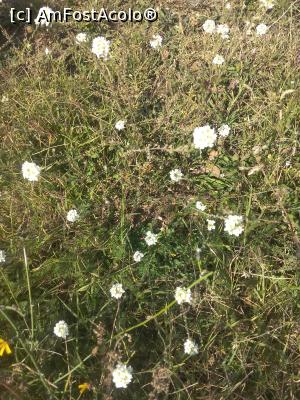 [P32] Florești Prahova » foto by Mioritik
 - 
<span class="allrVoted glyphicon glyphicon-heart hidden" id="av1347567"></span>
<a class="m-l-10 hidden" id="sv1347567" onclick="voting_Foto_DelVot(,1347567,5221)" role="button">șterge vot <span class="glyphicon glyphicon-remove"></span></a>
<a id="v91347567" class=" c-red"  onclick="voting_Foto_SetVot(1347567)" role="button"><span class="glyphicon glyphicon-heart-empty"></span> <b>LIKE</b> = Votează poza</a> <img class="hidden"  id="f1347567W9" src="/imagini/loader.gif" border="0" /><span class="AjErrMes hidden" id="e1347567ErM"></span>