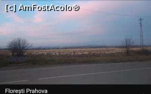 [P39] Florești Prahova, oi departe » foto by Mioritik
 - 
<span class="allrVoted glyphicon glyphicon-heart hidden" id="av1347574"></span>
<a class="m-l-10 hidden" id="sv1347574" onclick="voting_Foto_DelVot(,1347574,5221)" role="button">șterge vot <span class="glyphicon glyphicon-remove"></span></a>
<a id="v91347574" class=" c-red"  onclick="voting_Foto_SetVot(1347574)" role="button"><span class="glyphicon glyphicon-heart-empty"></span> <b>LIKE</b> = Votează poza</a> <img class="hidden"  id="f1347574W9" src="/imagini/loader.gif" border="0" /><span class="AjErrMes hidden" id="e1347574ErM"></span>
