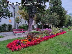 [P22] La pas prin centrul istoric Passau » foto by crismis
 - 
<span class="allrVoted glyphicon glyphicon-heart hidden" id="av1413072"></span>
<a class="m-l-10 hidden" id="sv1413072" onclick="voting_Foto_DelVot(,1413072,5227)" role="button">șterge vot <span class="glyphicon glyphicon-remove"></span></a>
<a id="v91413072" class=" c-red"  onclick="voting_Foto_SetVot(1413072)" role="button"><span class="glyphicon glyphicon-heart-empty"></span> <b>LIKE</b> = Votează poza</a> <img class="hidden"  id="f1413072W9" src="/imagini/loader.gif" border="0" /><span class="AjErrMes hidden" id="e1413072ErM"></span>