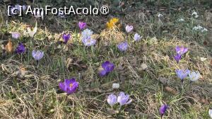 [P17] Floricele de primăvară pe Schlossberg » foto by Mika
 - 
<span class="allrVoted glyphicon glyphicon-heart hidden" id="av1521667"></span>
<a class="m-l-10 hidden" id="sv1521667" onclick="voting_Foto_DelVot(,1521667,5228)" role="button">șterge vot <span class="glyphicon glyphicon-remove"></span></a>
<a id="v91521667" class=" c-red"  onclick="voting_Foto_SetVot(1521667)" role="button"><span class="glyphicon glyphicon-heart-empty"></span> <b>LIKE</b> = Votează poza</a> <img class="hidden"  id="f1521667W9" src="/imagini/loader.gif" border="0" /><span class="AjErrMes hidden" id="e1521667ErM"></span>