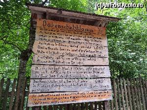 [P20] 115 poduri,49 de scari si peste 2000 de pasi totul in aer,responsabilitatea va apartine » foto by claudiu 71
 - 
<span class="allrVoted glyphicon glyphicon-heart hidden" id="av541797"></span>
<a class="m-l-10 hidden" id="sv541797" onclick="voting_Foto_DelVot(,541797,5228)" role="button">șterge vot <span class="glyphicon glyphicon-remove"></span></a>
<a id="v9541797" class=" c-red"  onclick="voting_Foto_SetVot(541797)" role="button"><span class="glyphicon glyphicon-heart-empty"></span> <b>LIKE</b> = Votează poza</a> <img class="hidden"  id="f541797W9" src="/imagini/loader.gif" border="0" /><span class="AjErrMes hidden" id="e541797ErM"></span>