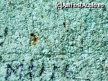 [P26] piatra CHIAR E VERDE!!! » foto by gushpi
 - 
<span class="allrVoted glyphicon glyphicon-heart hidden" id="av58812"></span>
<a class="m-l-10 hidden" id="sv58812" onclick="voting_Foto_DelVot(,58812,5234)" role="button">șterge vot <span class="glyphicon glyphicon-remove"></span></a>
<a id="v958812" class=" c-red"  onclick="voting_Foto_SetVot(58812)" role="button"><span class="glyphicon glyphicon-heart-empty"></span> <b>LIKE</b> = Votează poza</a> <img class="hidden"  id="f58812W9" src="/imagini/loader.gif" border="0" /><span class="AjErrMes hidden" id="e58812ErM"></span>