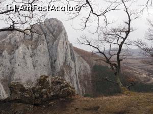 [P09] Rezervatia naturală Cheile Vălișoarei <p> vedere de pe traseul turistic spre vf. Bogza Mica » foto by Dana2008
 - 
<span class="allrVoted glyphicon glyphicon-heart hidden" id="av1058217"></span>
<a class="m-l-10 hidden" id="sv1058217" onclick="voting_Foto_DelVot(,1058217,5247)" role="button">șterge vot <span class="glyphicon glyphicon-remove"></span></a>
<a id="v91058217" class=" c-red"  onclick="voting_Foto_SetVot(1058217)" role="button"><span class="glyphicon glyphicon-heart-empty"></span> <b>LIKE</b> = Votează poza</a> <img class="hidden"  id="f1058217W9" src="/imagini/loader.gif" border="0" /><span class="AjErrMes hidden" id="e1058217ErM"></span>