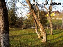 [P52] Prin Parcul municipal Aiud.  » foto by Neptunus
 - 
<span class="allrVoted glyphicon glyphicon-heart hidden" id="av497564"></span>
<a class="m-l-10 hidden" id="sv497564" onclick="voting_Foto_DelVot(,497564,5247)" role="button">șterge vot <span class="glyphicon glyphicon-remove"></span></a>
<a id="v9497564" class=" c-red"  onclick="voting_Foto_SetVot(497564)" role="button"><span class="glyphicon glyphicon-heart-empty"></span> <b>LIKE</b> = Votează poza</a> <img class="hidden"  id="f497564W9" src="/imagini/loader.gif" border="0" /><span class="AjErrMes hidden" id="e497564ErM"></span>