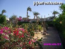 [P06] Prin gradina hotelului, in drum spre plaja » foto by Mihaela Dinu
 - 
<span class="allrVoted glyphicon glyphicon-heart hidden" id="av59152"></span>
<a class="m-l-10 hidden" id="sv59152" onclick="voting_Foto_DelVot(,59152,5248)" role="button">șterge vot <span class="glyphicon glyphicon-remove"></span></a>
<a id="v959152" class=" c-red"  onclick="voting_Foto_SetVot(59152)" role="button"><span class="glyphicon glyphicon-heart-empty"></span> <b>LIKE</b> = Votează poza</a> <img class="hidden"  id="f59152W9" src="/imagini/loader.gif" border="0" /><span class="AjErrMes hidden" id="e59152ErM"></span>