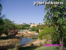 [P08] Tot din gradina, undeva in stg, in planul 2 era terenul de minigolf. La fratele de 5 stele era terenul  de golf pentru profesionisti! » foto by Mihaela Dinu
 - 
<span class="allrVoted glyphicon glyphicon-heart hidden" id="av59154"></span>
<a class="m-l-10 hidden" id="sv59154" onclick="voting_Foto_DelVot(,59154,5248)" role="button">șterge vot <span class="glyphicon glyphicon-remove"></span></a>
<a id="v959154" class=" c-red"  onclick="voting_Foto_SetVot(59154)" role="button"><span class="glyphicon glyphicon-heart-empty"></span> <b>LIKE</b> = Votează poza</a> <img class="hidden"  id="f59154W9" src="/imagini/loader.gif" border="0" /><span class="AjErrMes hidden" id="e59154ErM"></span>