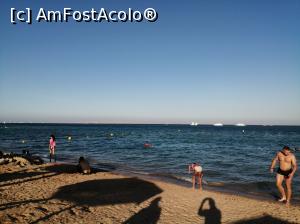 [P19]  -- <small>// FĂRĂ DESCRIERE</small> » foto by nelutu
 - 
<span class="allrVoted glyphicon glyphicon-heart hidden" id="av1261674"></span>
<a class="m-l-10 hidden" id="sv1261674" onclick="voting_Foto_DelVot(,1261674,5248)" role="button">șterge vot <span class="glyphicon glyphicon-remove"></span></a>
<a id="v91261674" class=" c-red"  onclick="voting_Foto_SetVot(1261674)" role="button"><span class="glyphicon glyphicon-heart-empty"></span> <b>LIKE</b> = Votează poza</a> <img class="hidden"  id="f1261674W9" src="/imagini/loader.gif" border="0" /><span class="AjErrMes hidden" id="e1261674ErM"></span>