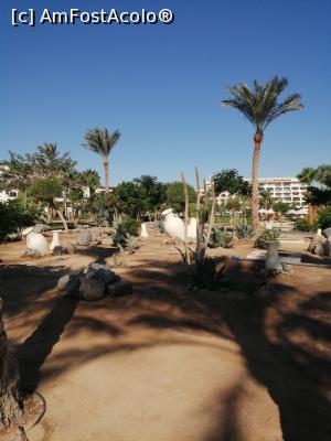 [P32] Grădina de la Aldau » foto by nelutu
 - 
<span class="allrVoted glyphicon glyphicon-heart hidden" id="av1261687"></span>
<a class="m-l-10 hidden" id="sv1261687" onclick="voting_Foto_DelVot(,1261687,5248)" role="button">șterge vot <span class="glyphicon glyphicon-remove"></span></a>
<a id="v91261687" class=" c-red"  onclick="voting_Foto_SetVot(1261687)" role="button"><span class="glyphicon glyphicon-heart-empty"></span> <b>LIKE</b> = Votează poza</a> <img class="hidden"  id="f1261687W9" src="/imagini/loader.gif" border="0" /><span class="AjErrMes hidden" id="e1261687ErM"></span>