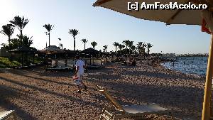 [P07] plaja hotelului » foto by Lumi
 - 
<span class="allrVoted glyphicon glyphicon-heart hidden" id="av629800"></span>
<a class="m-l-10 hidden" id="sv629800" onclick="voting_Foto_DelVot(,629800,5248)" role="button">șterge vot <span class="glyphicon glyphicon-remove"></span></a>
<a id="v9629800" class=" c-red"  onclick="voting_Foto_SetVot(629800)" role="button"><span class="glyphicon glyphicon-heart-empty"></span> <b>LIKE</b> = Votează poza</a> <img class="hidden"  id="f629800W9" src="/imagini/loader.gif" border="0" /><span class="AjErrMes hidden" id="e629800ErM"></span>