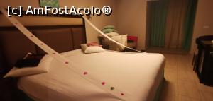 [P16] Unul din multele aranjamente de care am avut parte zilnic. Aici petale de flori proaspete pe hârtie igienică.  » foto by Aurici
 - 
<span class="allrVoted glyphicon glyphicon-heart hidden" id="av1152490"></span>
<a class="m-l-10 hidden" id="sv1152490" onclick="voting_Foto_DelVot(,1152490,5248)" role="button">șterge vot <span class="glyphicon glyphicon-remove"></span></a>
<a id="v91152490" class=" c-red"  onclick="voting_Foto_SetVot(1152490)" role="button"><span class="glyphicon glyphicon-heart-empty"></span> <b>LIKE</b> = Votează poza</a> <img class="hidden"  id="f1152490W9" src="/imagini/loader.gif" border="0" /><span class="AjErrMes hidden" id="e1152490ErM"></span>