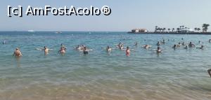 [P32] Gimnastica zilnică.  » foto by Aurici
 - 
<span class="allrVoted glyphicon glyphicon-heart hidden" id="av1152517"></span>
<a class="m-l-10 hidden" id="sv1152517" onclick="voting_Foto_DelVot(,1152517,5248)" role="button">șterge vot <span class="glyphicon glyphicon-remove"></span></a>
<a id="v91152517" class=" c-red"  onclick="voting_Foto_SetVot(1152517)" role="button"><span class="glyphicon glyphicon-heart-empty"></span> <b>LIKE</b> = Votează poza</a> <img class="hidden"  id="f1152517W9" src="/imagini/loader.gif" border="0" /><span class="AjErrMes hidden" id="e1152517ErM"></span>