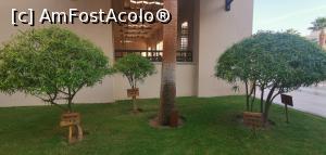 [P40] Data de naștere a pomișorilor.  » foto by Aurici
 - 
<span class="allrVoted glyphicon glyphicon-heart hidden" id="av1152543"></span>
<a class="m-l-10 hidden" id="sv1152543" onclick="voting_Foto_DelVot(,1152543,5248)" role="button">șterge vot <span class="glyphicon glyphicon-remove"></span></a>
<a id="v91152543" class=" c-red"  onclick="voting_Foto_SetVot(1152543)" role="button"><span class="glyphicon glyphicon-heart-empty"></span> <b>LIKE</b> = Votează poza</a> <img class="hidden"  id="f1152543W9" src="/imagini/loader.gif" border="0" /><span class="AjErrMes hidden" id="e1152543ErM"></span>