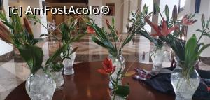 [P09] O găselniță cu celofan pe care am preluat-o și noi.  » foto by Aurici
 - 
<span class="allrVoted glyphicon glyphicon-heart hidden" id="av1152483"></span>
<a class="m-l-10 hidden" id="sv1152483" onclick="voting_Foto_DelVot(,1152483,5248)" role="button">șterge vot <span class="glyphicon glyphicon-remove"></span></a>
<a id="v91152483" class=" c-red"  onclick="voting_Foto_SetVot(1152483)" role="button"><span class="glyphicon glyphicon-heart-empty"></span> <b>LIKE</b> = Votează poza</a> <img class="hidden"  id="f1152483W9" src="/imagini/loader.gif" border="0" /><span class="AjErrMes hidden" id="e1152483ErM"></span>