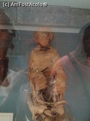 [P32] Mumie...  » foto by mosu67
 - 
<span class="allrVoted glyphicon glyphicon-heart hidden" id="av1110352"></span>
<a class="m-l-10 hidden" id="sv1110352" onclick="voting_Foto_DelVot(,1110352,5248)" role="button">șterge vot <span class="glyphicon glyphicon-remove"></span></a>
<a id="v91110352" class=" c-red"  onclick="voting_Foto_SetVot(1110352)" role="button"><span class="glyphicon glyphicon-heart-empty"></span> <b>LIKE</b> = Votează poza</a> <img class="hidden"  id="f1110352W9" src="/imagini/loader.gif" border="0" /><span class="AjErrMes hidden" id="e1110352ErM"></span>