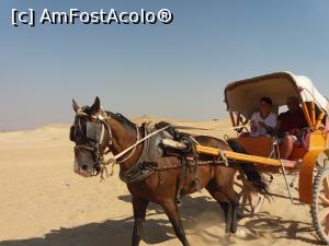 [P42]  -- <small>// FĂRĂ DESCRIERE</small> » foto by mosu67
 - 
<span class="allrVoted glyphicon glyphicon-heart hidden" id="av1110362"></span>
<a class="m-l-10 hidden" id="sv1110362" onclick="voting_Foto_DelVot(,1110362,5248)" role="button">șterge vot <span class="glyphicon glyphicon-remove"></span></a>
<a id="v91110362" class=" c-red"  onclick="voting_Foto_SetVot(1110362)" role="button"><span class="glyphicon glyphicon-heart-empty"></span> <b>LIKE</b> = Votează poza</a> <img class="hidden"  id="f1110362W9" src="/imagini/loader.gif" border="0" /><span class="AjErrMes hidden" id="e1110362ErM"></span>