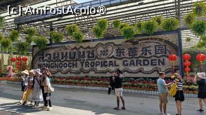 [P02] Nong Nooch Botanical Garden Pattaya » foto by elenaadina
 - 
<span class="allrVoted glyphicon glyphicon-heart hidden" id="av1471174"></span>
<a class="m-l-10 hidden" id="sv1471174" onclick="voting_Foto_DelVot(,1471174,5252)" role="button">șterge vot <span class="glyphicon glyphicon-remove"></span></a>
<a id="v91471174" class=" c-red"  onclick="voting_Foto_SetVot(1471174)" role="button"><span class="glyphicon glyphicon-heart-empty"></span> <b>LIKE</b> = Votează poza</a> <img class="hidden"  id="f1471174W9" src="/imagini/loader.gif" border="0" /><span class="AjErrMes hidden" id="e1471174ErM"></span>