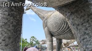 [P21] Nong Nooch Botanical Garden Pattaya » foto by elenaadina
 - 
<span class="allrVoted glyphicon glyphicon-heart hidden" id="av1471193"></span>
<a class="m-l-10 hidden" id="sv1471193" onclick="voting_Foto_DelVot(,1471193,5252)" role="button">șterge vot <span class="glyphicon glyphicon-remove"></span></a>
<a id="v91471193" class=" c-red"  onclick="voting_Foto_SetVot(1471193)" role="button"><span class="glyphicon glyphicon-heart-empty"></span> <b>LIKE</b> = Votează poza</a> <img class="hidden"  id="f1471193W9" src="/imagini/loader.gif" border="0" /><span class="AjErrMes hidden" id="e1471193ErM"></span>