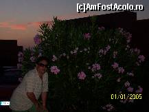 [P13] Este excelent cu putina racoare langa un buchet urias de flori minunate. » foto by dumidalba
 - 
<span class="allrVoted glyphicon glyphicon-heart hidden" id="av59376"></span>
<a class="m-l-10 hidden" id="sv59376" onclick="voting_Foto_DelVot(,59376,5261)" role="button">șterge vot <span class="glyphicon glyphicon-remove"></span></a>
<a id="v959376" class=" c-red"  onclick="voting_Foto_SetVot(59376)" role="button"><span class="glyphicon glyphicon-heart-empty"></span> <b>LIKE</b> = Votează poza</a> <img class="hidden"  id="f59376W9" src="/imagini/loader.gif" border="0" /><span class="AjErrMes hidden" id="e59376ErM"></span>