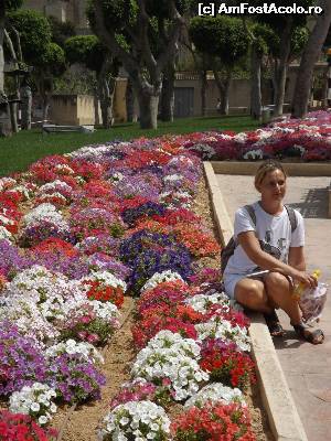 [P11] Victoria, Gozo » foto by michaela_11
 - 
<span class="allrVoted glyphicon glyphicon-heart hidden" id="av529016"></span>
<a class="m-l-10 hidden" id="sv529016" onclick="voting_Foto_DelVot(,529016,5264)" role="button">șterge vot <span class="glyphicon glyphicon-remove"></span></a>
<a id="v9529016" class=" c-red"  onclick="voting_Foto_SetVot(529016)" role="button"><span class="glyphicon glyphicon-heart-empty"></span> <b>LIKE</b> = Votează poza</a> <img class="hidden"  id="f529016W9" src="/imagini/loader.gif" border="0" /><span class="AjErrMes hidden" id="e529016ErM"></span>