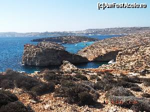 [P16] Comino salbatic » foto by vgaby
 - 
<span class="allrVoted glyphicon glyphicon-heart hidden" id="av568680"></span>
<a class="m-l-10 hidden" id="sv568680" onclick="voting_Foto_DelVot(,568680,5264)" role="button">șterge vot <span class="glyphicon glyphicon-remove"></span></a>
<a id="v9568680" class=" c-red"  onclick="voting_Foto_SetVot(568680)" role="button"><span class="glyphicon glyphicon-heart-empty"></span> <b>LIKE</b> = Votează poza</a> <img class="hidden"  id="f568680W9" src="/imagini/loader.gif" border="0" /><span class="AjErrMes hidden" id="e568680ErM"></span>