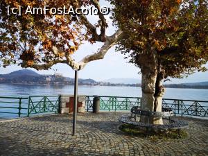 [P04] Arona, lungolago; m-a impresionat „atela” copacului; în fundal, fortăreața din Angero » foto by crismis
 - 
<span class="allrVoted glyphicon glyphicon-heart hidden" id="av1274006"></span>
<a class="m-l-10 hidden" id="sv1274006" onclick="voting_Foto_DelVot(,1274006,5274)" role="button">șterge vot <span class="glyphicon glyphicon-remove"></span></a>
<a id="v91274006" class=" c-red"  onclick="voting_Foto_SetVot(1274006)" role="button"><span class="glyphicon glyphicon-heart-empty"></span> <b>LIKE</b> = Votează poza</a> <img class="hidden"  id="f1274006W9" src="/imagini/loader.gif" border="0" /><span class="AjErrMes hidden" id="e1274006ErM"></span>