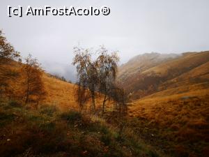 [P28] Culorile toamnei » foto by crismis
 - 
<span class="allrVoted glyphicon glyphicon-heart hidden" id="av1274387"></span>
<a class="m-l-10 hidden" id="sv1274387" onclick="voting_Foto_DelVot(,1274387,5274)" role="button">șterge vot <span class="glyphicon glyphicon-remove"></span></a>
<a id="v91274387" class=" c-red"  onclick="voting_Foto_SetVot(1274387)" role="button"><span class="glyphicon glyphicon-heart-empty"></span> <b>LIKE</b> = Votează poza</a> <img class="hidden"  id="f1274387W9" src="/imagini/loader.gif" border="0" /><span class="AjErrMes hidden" id="e1274387ErM"></span>