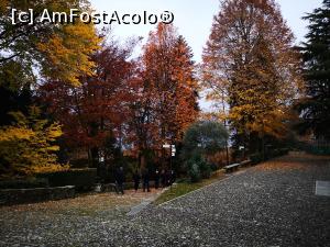 [P88] Sacro Monte di Orta » foto by crismis
 - 
<span class="allrVoted glyphicon glyphicon-heart hidden" id="av1274454"></span>
<a class="m-l-10 hidden" id="sv1274454" onclick="voting_Foto_DelVot(,1274454,5274)" role="button">șterge vot <span class="glyphicon glyphicon-remove"></span></a>
<a id="v91274454" class=" c-red"  onclick="voting_Foto_SetVot(1274454)" role="button"><span class="glyphicon glyphicon-heart-empty"></span> <b>LIKE</b> = Votează poza</a> <img class="hidden"  id="f1274454W9" src="/imagini/loader.gif" border="0" /><span class="AjErrMes hidden" id="e1274454ErM"></span>
