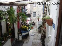 [P12] Barca transformata in gradina de flori » foto by BOGDAN DSN
 - 
<span class="allrVoted glyphicon glyphicon-heart hidden" id="av156091"></span>
<a class="m-l-10 hidden" id="sv156091" onclick="voting_Foto_DelVot(,156091,5274)" role="button">șterge vot <span class="glyphicon glyphicon-remove"></span></a>
<a id="v9156091" class=" c-red"  onclick="voting_Foto_SetVot(156091)" role="button"><span class="glyphicon glyphicon-heart-empty"></span> <b>LIKE</b> = Votează poza</a> <img class="hidden"  id="f156091W9" src="/imagini/loader.gif" border="0" /><span class="AjErrMes hidden" id="e156091ErM"></span>